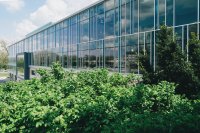 Hoe onderscheidt uw bedrijf zich met haagbeuk en liguster als groene branding?
