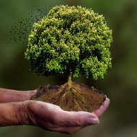 Duurzaam ondernemen: bouw aan een sterker bedrijf